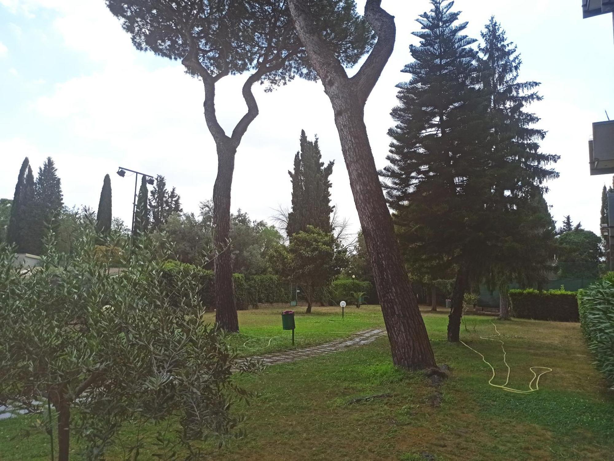 Aurelia Antica Terrace Apt Free Pool And Parking Roma Dış mekan fotoğraf